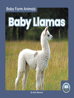 cover image of Baby Llamas